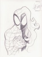Ultimate Spider-Man Vs Spider-Woman  Comic Art